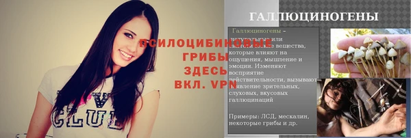 прущие грибы Армянск