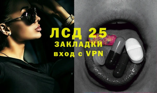 прущие грибы Армянск