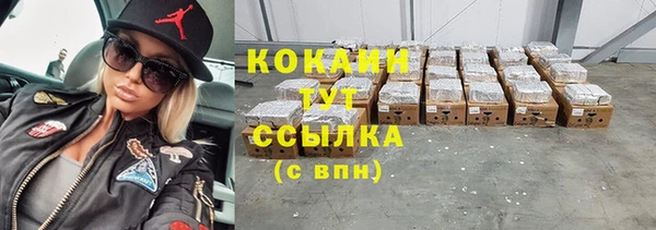 прущие грибы Армянск