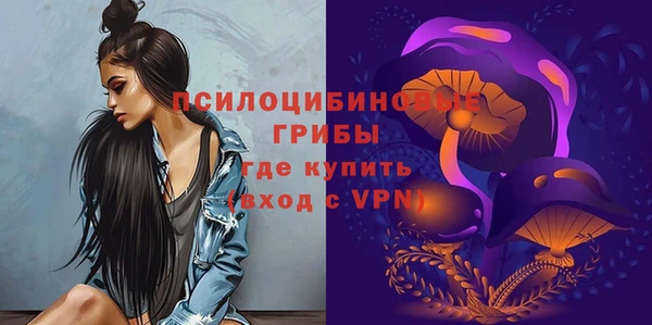 прущие грибы Армянск